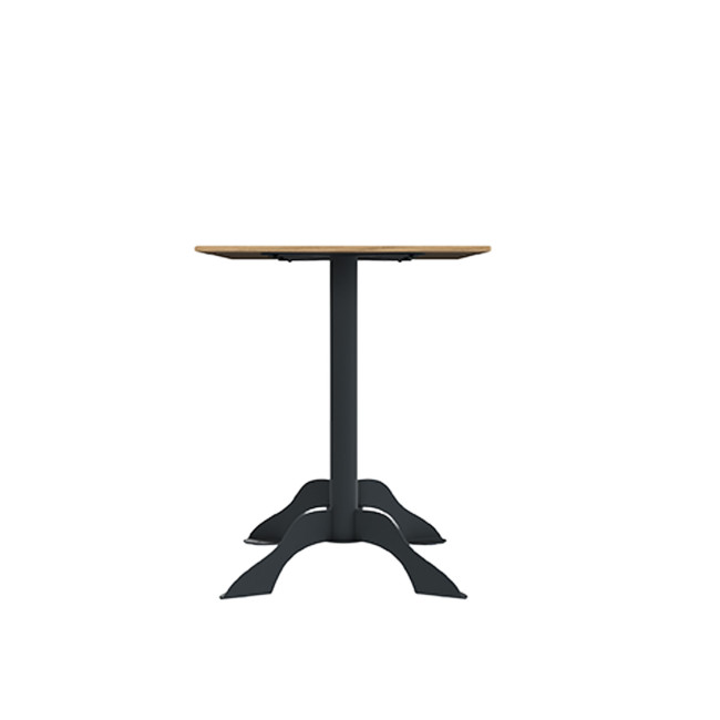 Rectangle Metal Flora Table / HPL - 4places - anthracite 7016 / clear chene