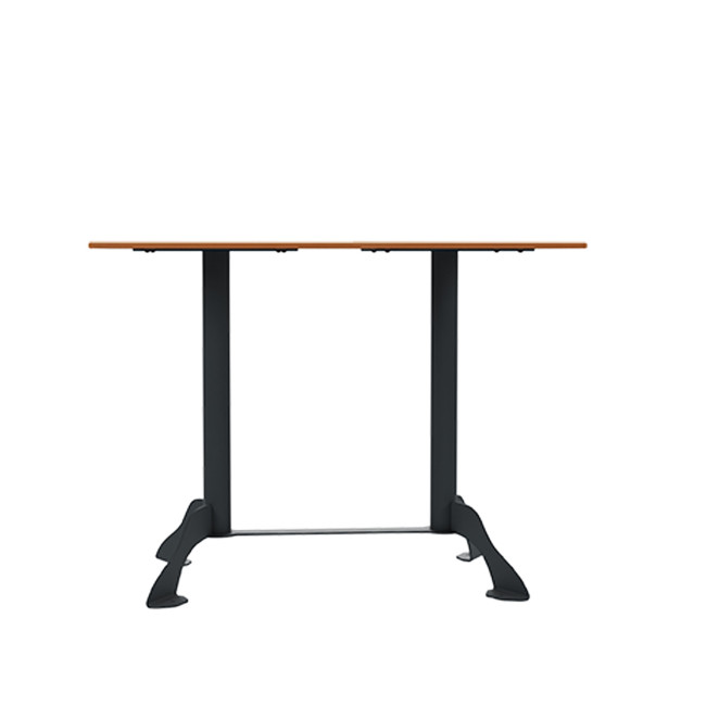 Rectangle Metal Flora Table / HPL - 4places - anthracite 7016 / clear chene
