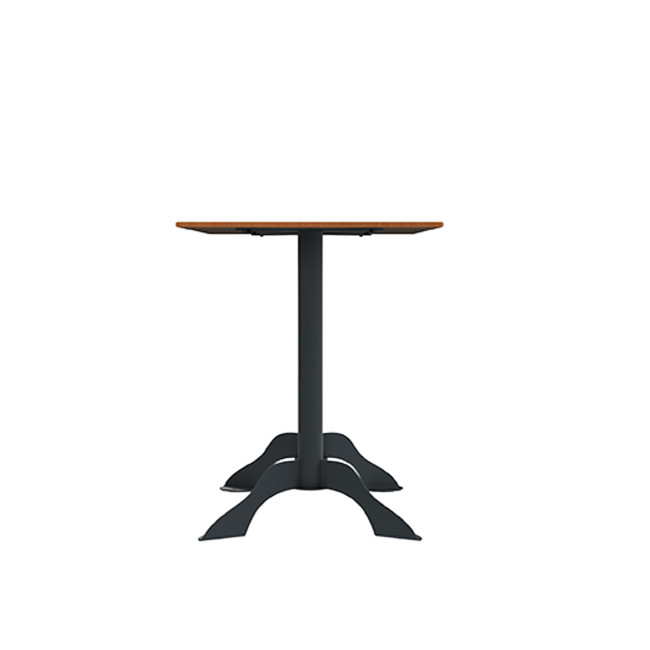 Rectangle Metal Flora Table / HPL - 4places - anthracite 7016 / clear chene
