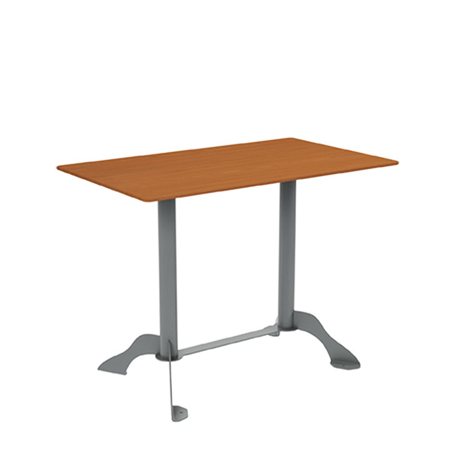 Rectangle Metal Flora Table / HPL - 4places - anthracite 7016 / clear chene