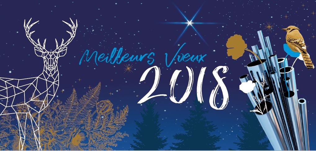 Voeux 2018